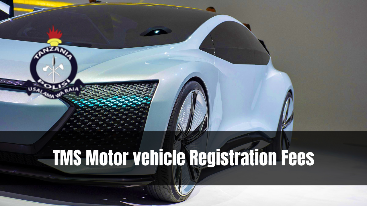 TMS Motor vehicle Registration Fees