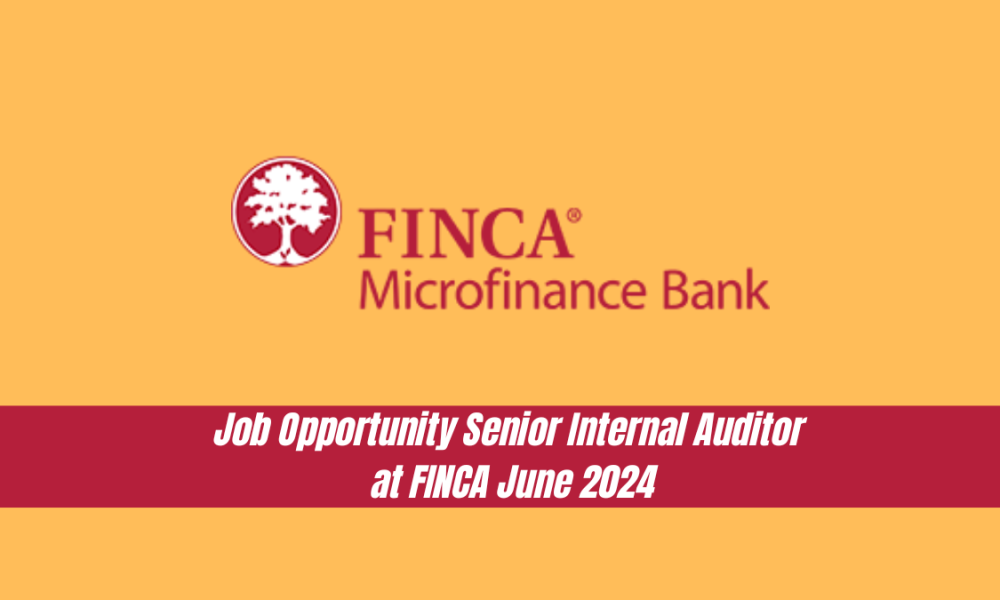 Job Opportunity - Senior Internal Auditor at FINCA - June 2024