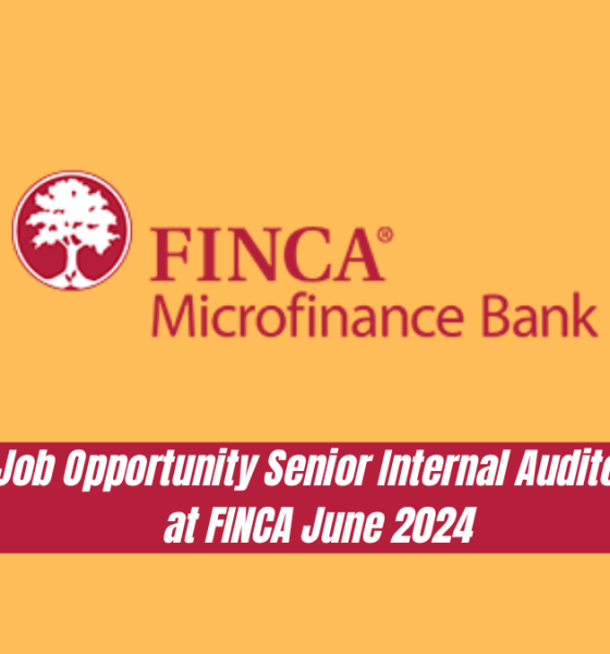 Job Opportunity - Senior Internal Auditor at FINCA - June 2024