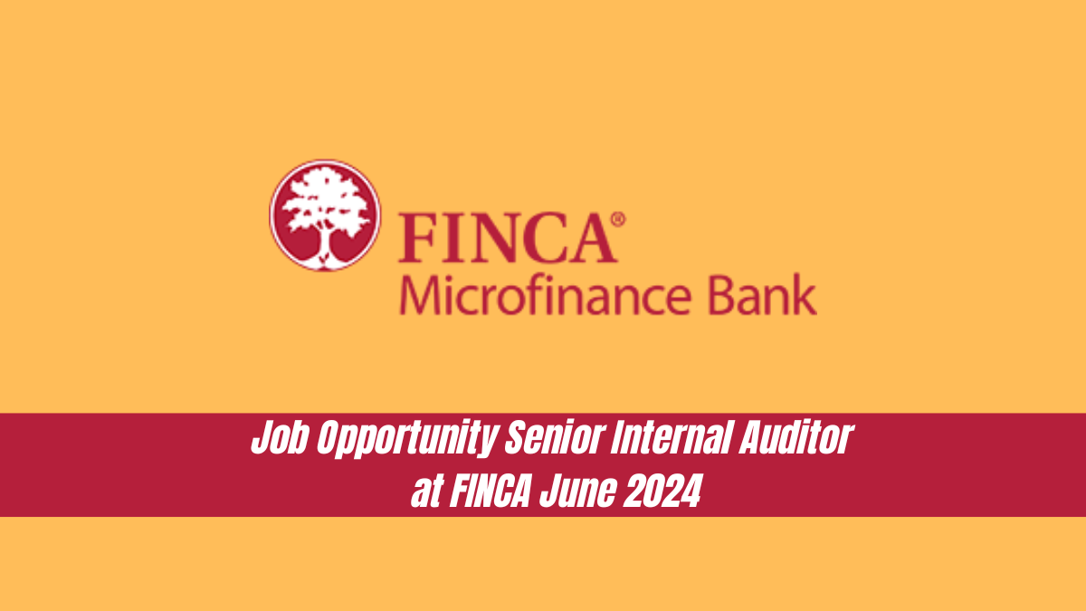 Job Opportunity - Senior Internal Auditor at FINCA - June 2024