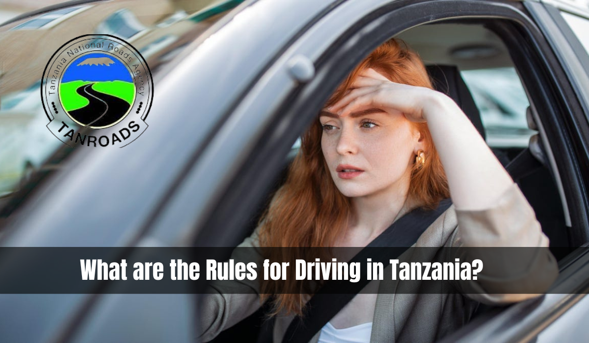 What are the Rules for Driving in Tanzania?