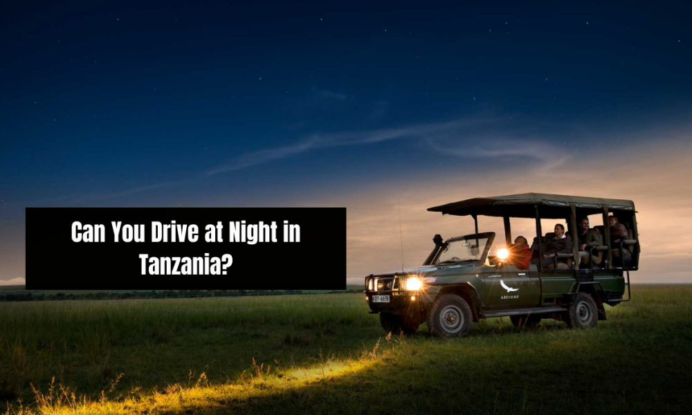 Can You Drive at Night in Tanzania?