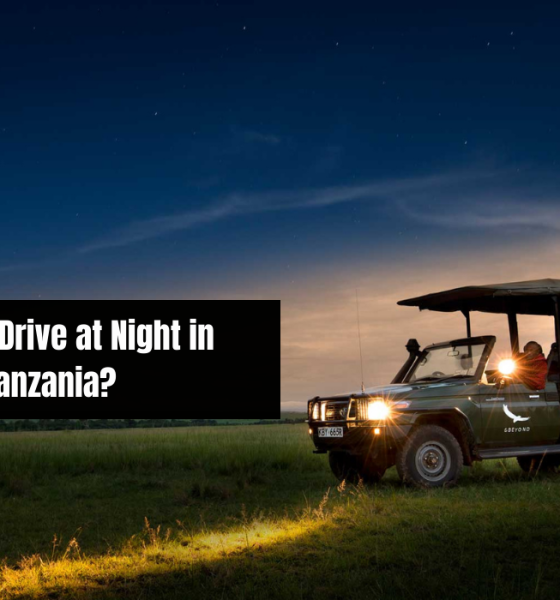 Can You Drive at Night in Tanzania?