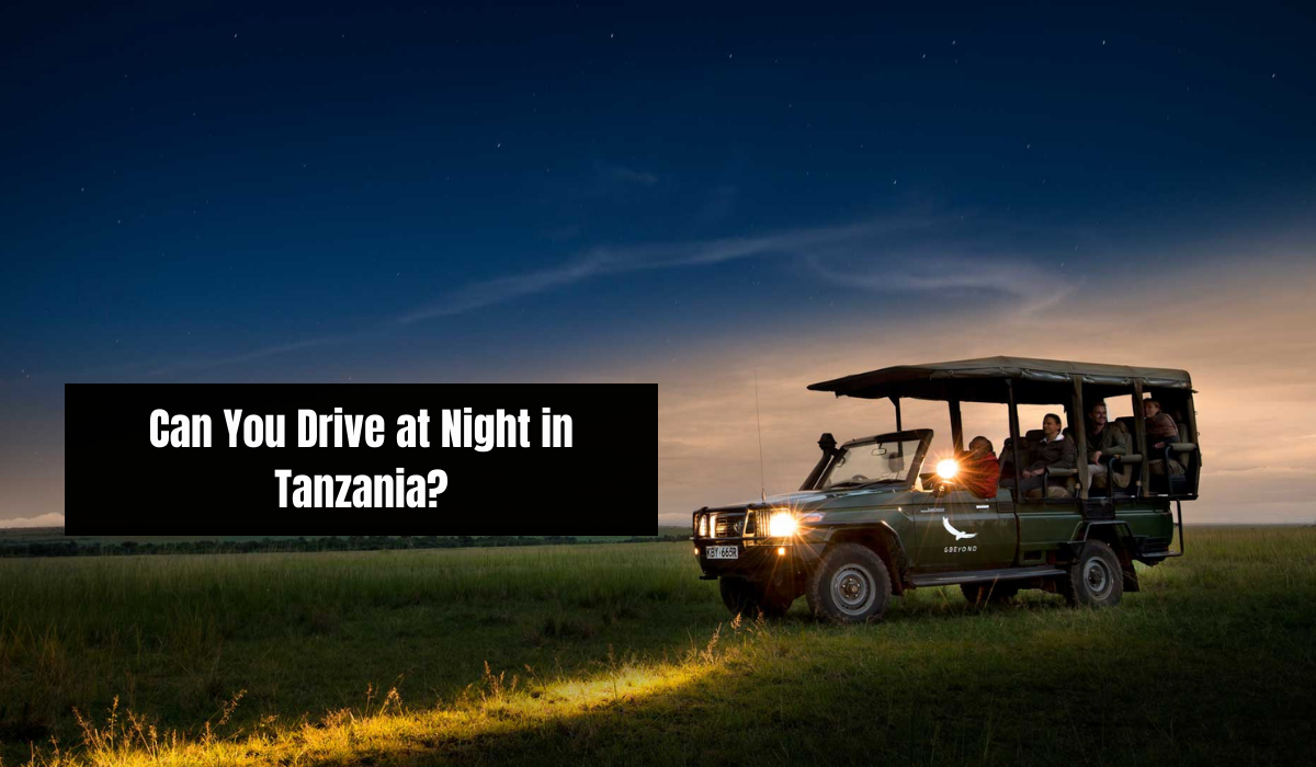 Can You Drive at Night in Tanzania?