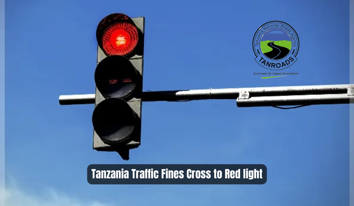 Tanzania Traffic Fines Cross to Red light